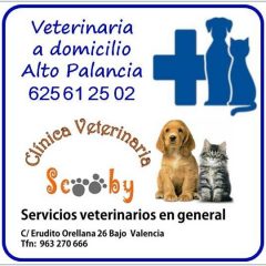 VETERINARIO a  DOMICILIO   ALTO PALANCIA   625612502